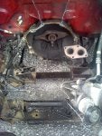 IMG_20130721_130835.jpg